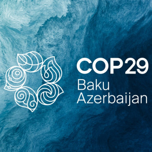 COP29: Forging Pathways to a Sustainable Future