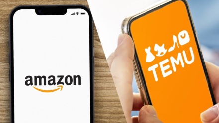 Amazon vs. Temu: Navigating the E-commerce Landscape in 2024